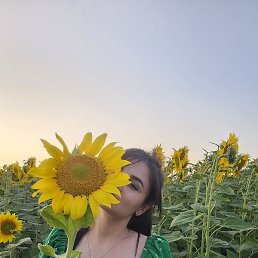 �����, ���������, 38 ���