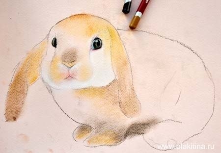 ������ ������� - 3