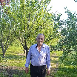 �������, ���������, 77 ���