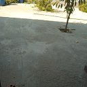 ���� ������, ������, 33 ���� - ��������� 17 ������� 2023 � ������ ���� ����������