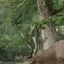 ���� �����, �������� - ��������� 17 ���� 2023 � ������ ������ ��������