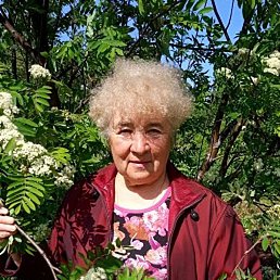 �������, ������, 80 ���