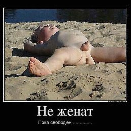 ��������, ������, 50 ���