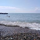 ���� ��������, �������, 41 ��� - ��������� 22 ���� 2023