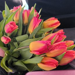 �����, ������, 55 ���