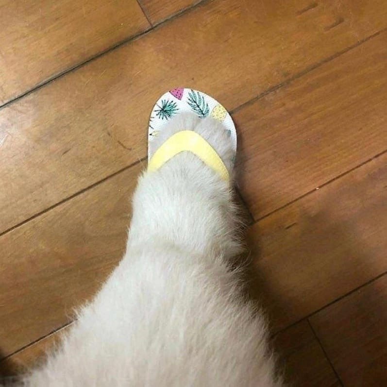   - 19  2023  14:20
