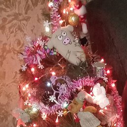 �������, ���, 54 ����