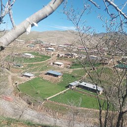 ���� Olim, �������, 29 ��� - ��������� 28 ������ 2023