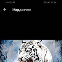 ���� �����, ���������, 46 ��� - ��������� 2 ������� 2023 � ������ ���� ����������