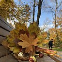 ���� �����, ������������, 53 ���� - ��������� 1 ���� 2023 � ������ ���� ����� �������