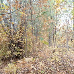 ���� ������, ��������� - ��������� 3 ������� 2023