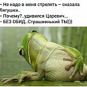 ���� �����, ������������, 55 ��� - ��������� 20 ������ 2023 � ������ ������ ��������