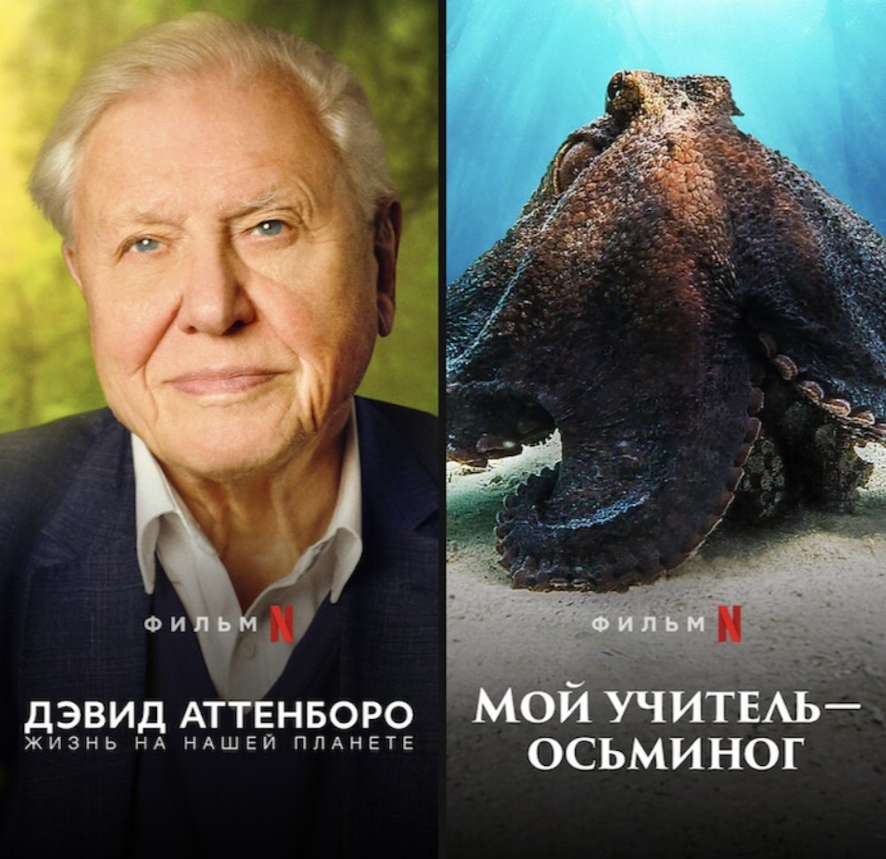 �����e �������������� ������ �� Netflix - 8