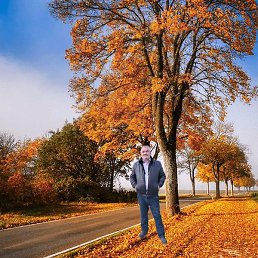 �������� �����, ����, 54 ����