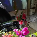 ���� ������, �����, 42 ���� - ��������� 14 ������ 2023 � ������ ������ ��������