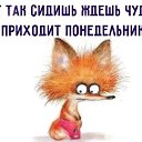 ���� �������, ���������, 64 ���� - ��������� 31 ���� 2023