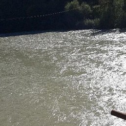 Musko40, �������, 43 ����