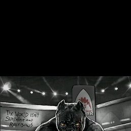 Ali, ��������, 27 ���