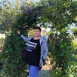 �����, ���������, 56 ���