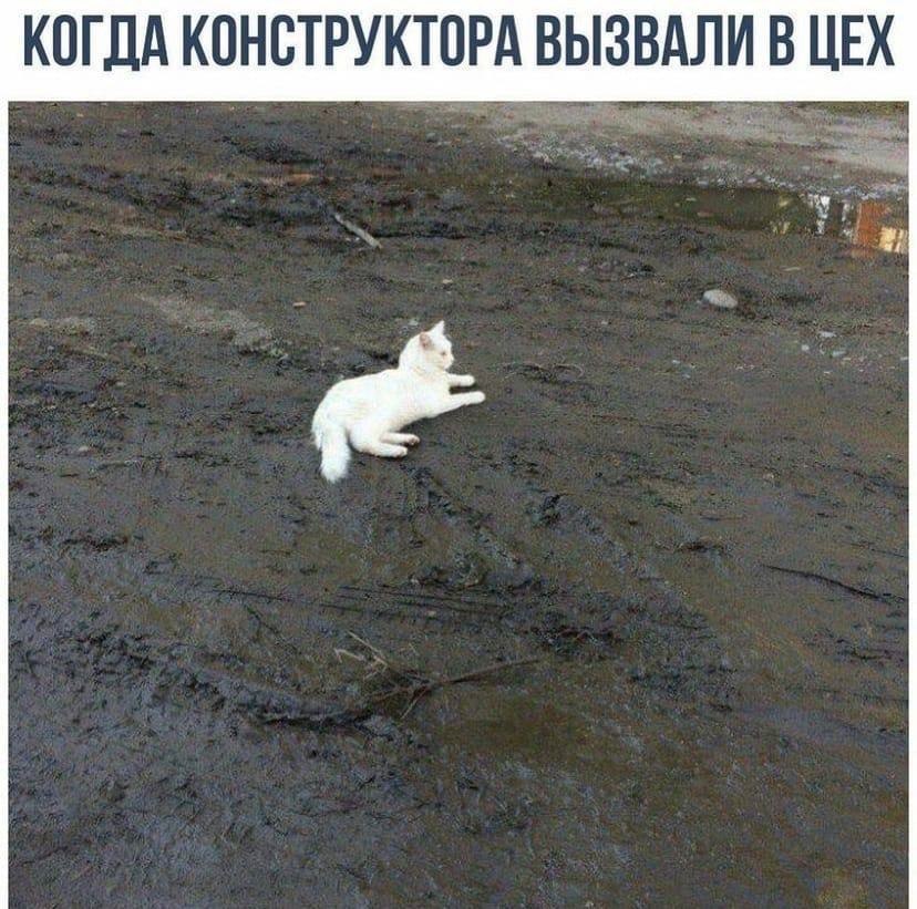    - 22  2023  14:29