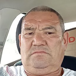 �����, ���������, 54 ����