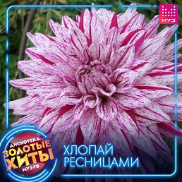 ���� ����, �������, 54 ���� - ��������� 8 ����� 2023