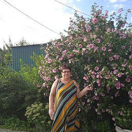 �������, ������, 38 ���