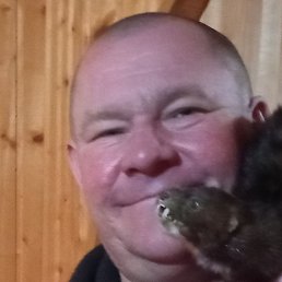 �����, �����������, 50 ���