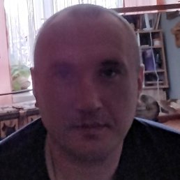 ������, �����-���������, 46 ���