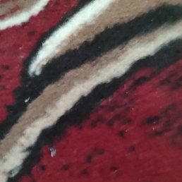 ����, �����, 31 ���