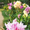 ���� ��������, ������, 63 ���� - ��������� 6 �������� 2023