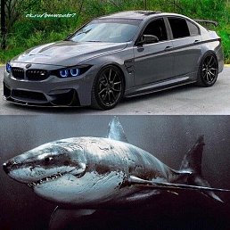 ���� ����, ������, 37 ��� - ��������� 21 ������ 2023