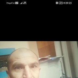 ���� �������, �����������, 43 ���� - ��������� 12 ����� 2023