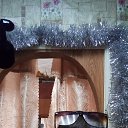 ���� ������, �������, 41 ��� - ��������� 7 �������� 2023 � ������ ���� ����������