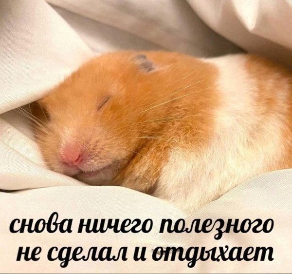    - 29  2023  18:25