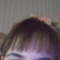 ���� ����, ����, 37 ��� - ��������� 9 ������� 2023