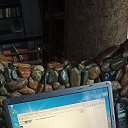 ���� �������, ������, 48 ��� - ��������� 19 ������ 2023 � ������ ���� ����������