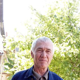 ���� �������, �����, 75 ��� - ��������� 11 ������� 2023