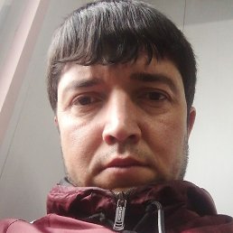 �����, �����-���������, 39 ���