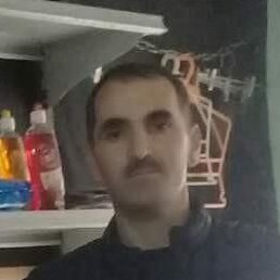 �����, ������, 42 ����