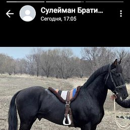 ���� �������, ������, 52 ���� - ��������� 12 ��� 2023