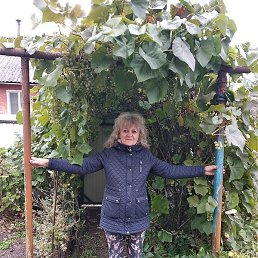 ���, �����, 65 ���