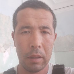 ������� ����, �����, 43 ����