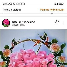 ������, �����-���������, 36 ���