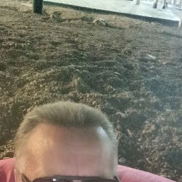 ��������, ������, 73 ����