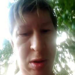 �����, ��������, 41 ���