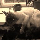 ���� ��������, ������, 51 ��� - ��������� 23 ������ 2023 � ������ ���� ����������