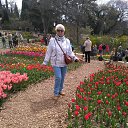 ������ ����