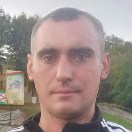 ����, ������, 41 ���