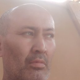 ��������., ������, 51 ���